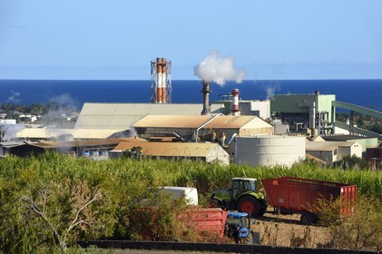 France, Ile de la Reunion, Saint-Louis, l'usine sucrière du Gol derrière les champs de canne à sucre