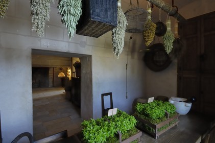 France, Indre-et-Loire (37), château de Chenonceau, les cuisines