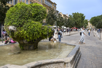 France, Bouches-du-Rhône (13), Aix en Provence, cours Mirabeau, artère principale de la ville, fontaine des 9 canons