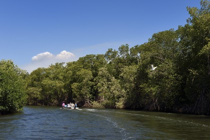 Nicaragua, la côte pacifique de Leon, découverte en bateau de la mangrove du parc national Isla Juan Venado