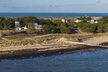 France, Vendée (85), Ile de Noirmoutier, La Guérinière, plage de la court et les moulins de la Court (vue aérienne)