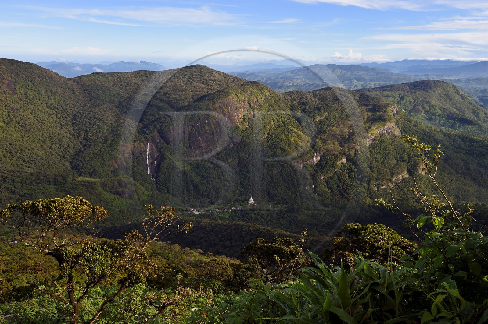 Sri Lanka, province du centre, Dalhousie, paysage sur le chemin menant au Pic d'Adam (Adam's Peak)