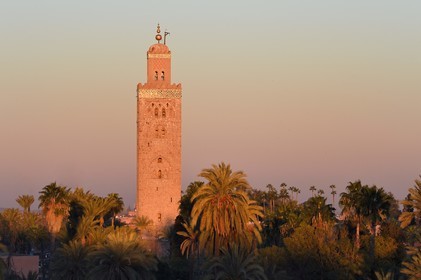Maroc, Haut-Atlas, Marrakech, ville impériale, Médina classée Patrimoine Mondial de l'UNESCO, la mosquée la Koutoubia et son minaret au soleil couchant