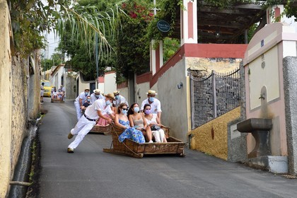Portugal, Ile de Madère, Funchal, touristes effectuant la descente depuis le jardin tropical en traditionnel panier d'osier sur la route camino do Monte