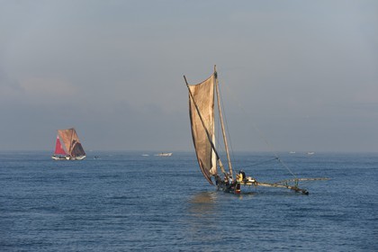Sri Lanka, Province de l'Ouest, Negombo, peche traditionnelle sur des catamarans