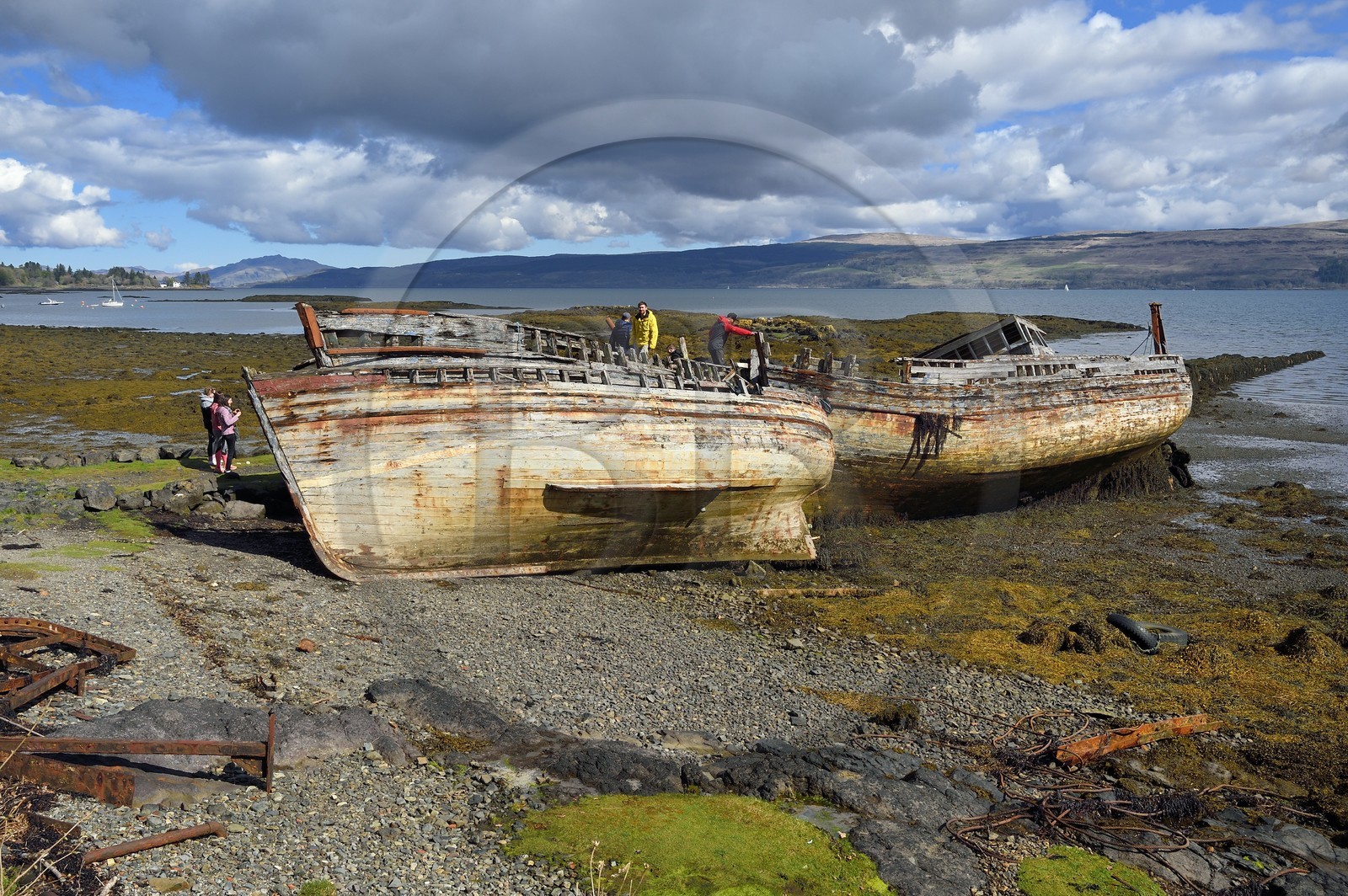 Royaume-Uni, Ecosse, Highland, Hébrides intérieures, Ile de Mull, épaves de bateau dans le Sound of Mull à Salen