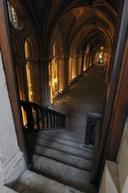 France, Paris (75), Ile de la Cité, cathédrale Notre-Dame de Paris, tribune sud