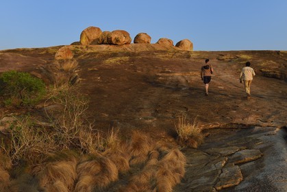 Zimbabwe, province de Matabeleland méridional, Matobo ou Matopos Hills National Park, classé Patrimoine Mondial de l'UNESCO, formations rocheuses sur la colline de Malindidzimu (demeure des esprits bienveillants) au sommet de View of the World où est enterré Cecil Rhodes