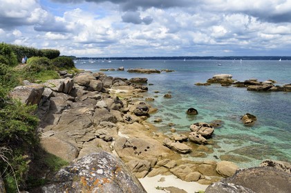 France,  Finistère (29), Fouesnant, le chemin du littoral entre le Cap Coz et la Pointe de Beg Meil
