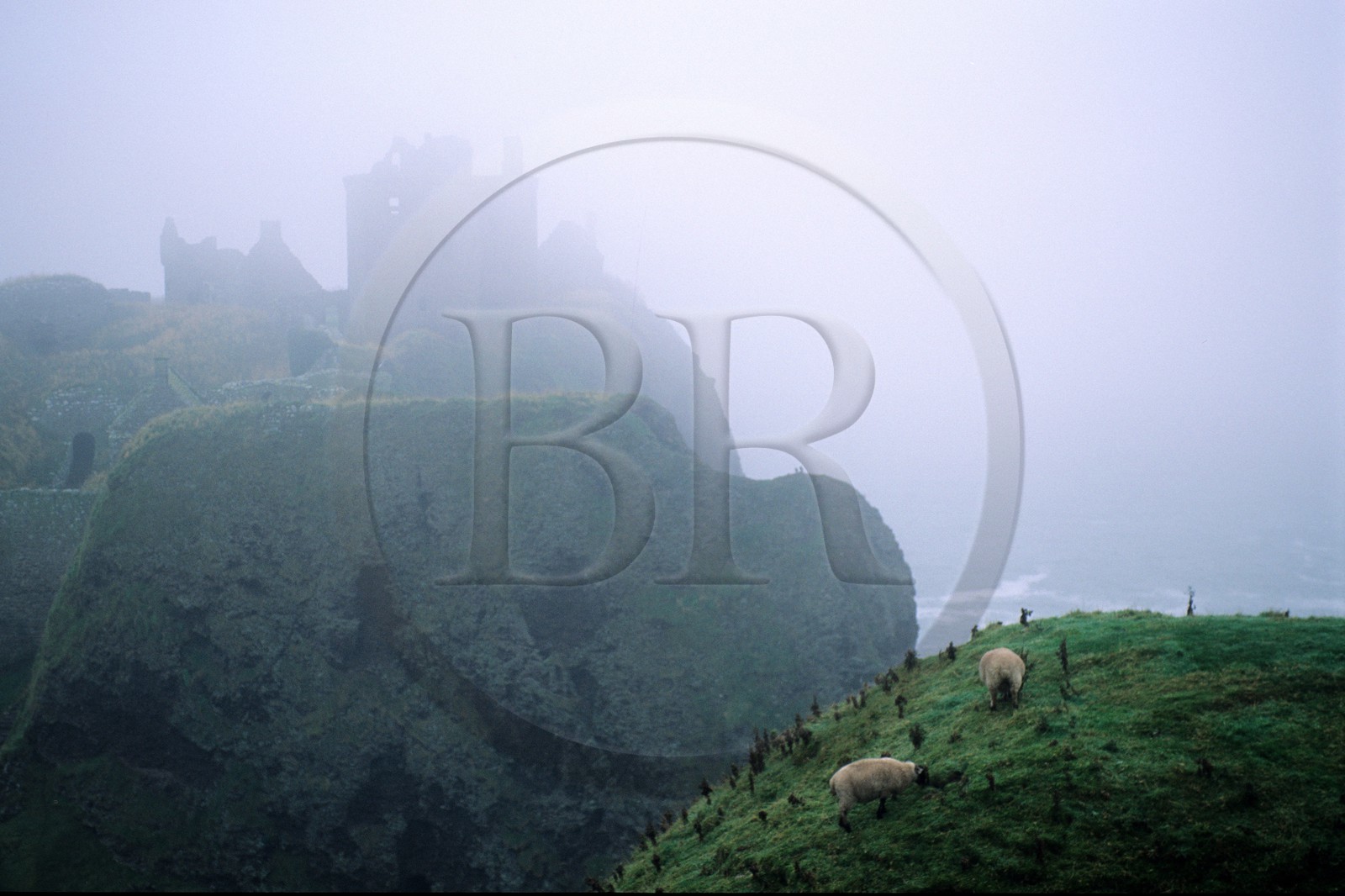 Royaume-Uni, Ecosse, Aberdeenshire, au sud de Stonehaven, le château de Dunnottar dans la brume