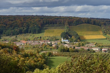 France, Meuse (55), Parc régional de Lorraine, Cotes de Meuse, le village de Viéville-sous-les-Côtes au pied d'un vignoble
