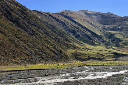 Azerbaïdjan, région de Quba (Guba), chaine de montagne du Grand Caucase, la vallée de la route Xinaliq Yolu vers Khinalug, berger et son troupeau de moutons