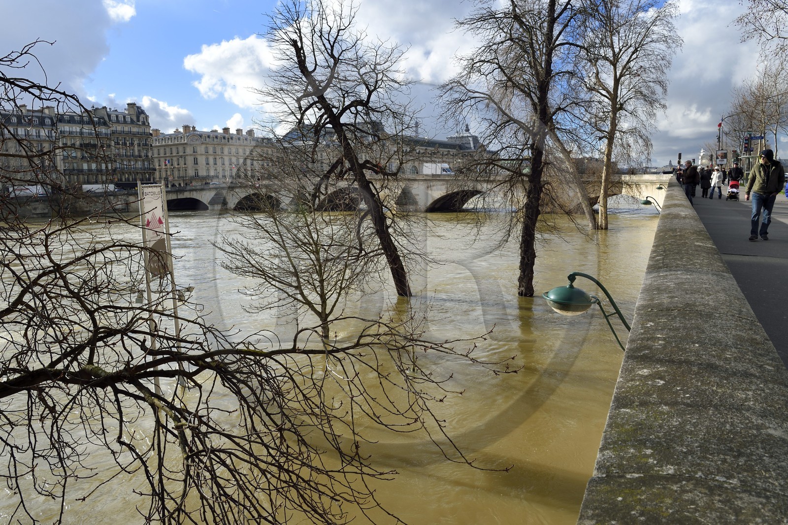 France, Paris (75), les rives de la Seine, classées Patrimoine Mondial de l'UNESCO, la crue de la Seine de janvier 2018, l'arrêt du Batobus du quai du Louvre, en arrière plan le pont Royal