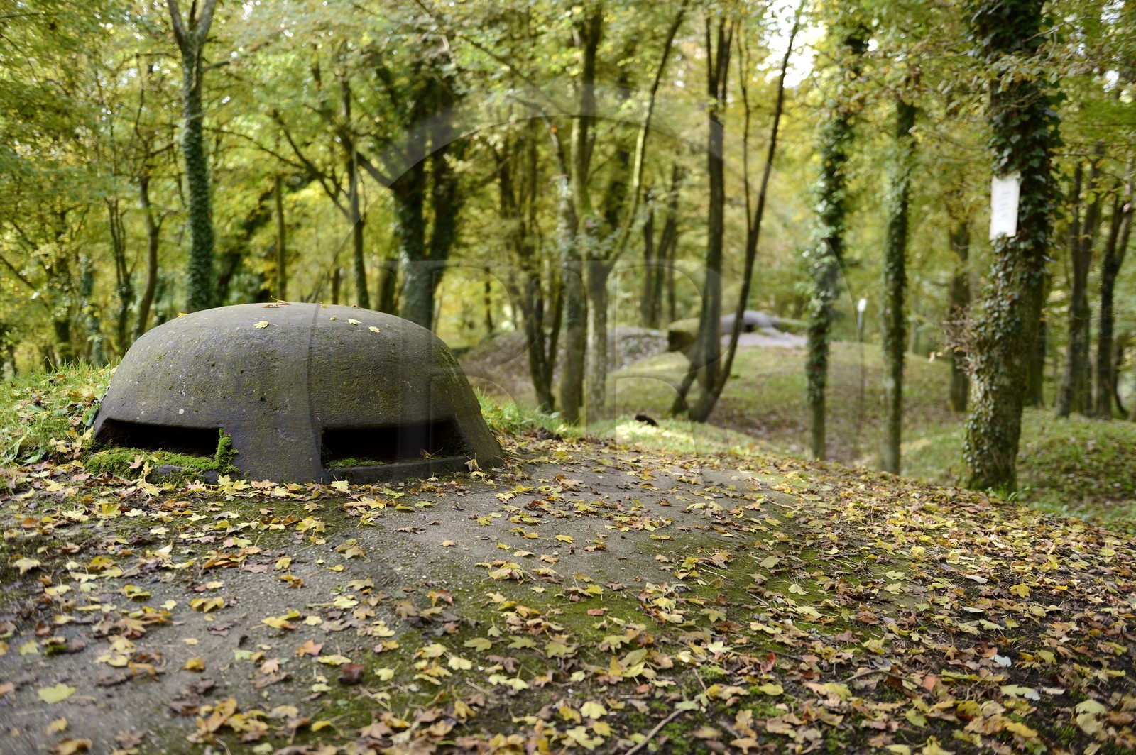 France, Meuse (55), région de Douaumont, bataille de Verdun, le Fort de Souville, tourelle d'observation cuirassée