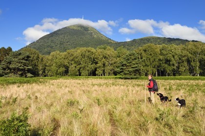France, Puy-de-Dôme (63), Parc Naturel Régional des Volcans d'Auvergne, Chaine des Puys classée Patrimoine Mondial de l’UNESCO, la bergère Ostiane Vuillermoz avec ses chiens au pied du volcan Puy de Dôme