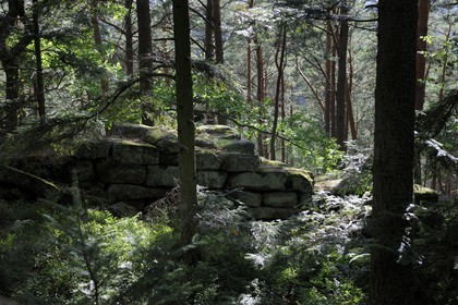 France, Bas-Rhin (67), le Mont Saint-Odile, le mur païen