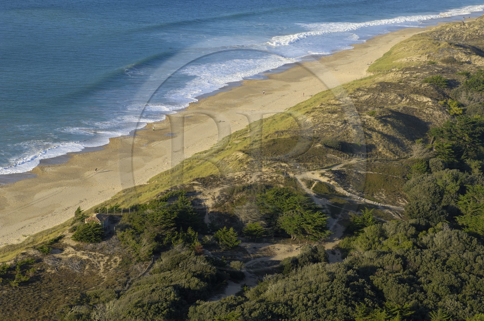 France, Charente-Maritime (17), ile de Ré, plage à la Conche des Baleines (vue aérienne)