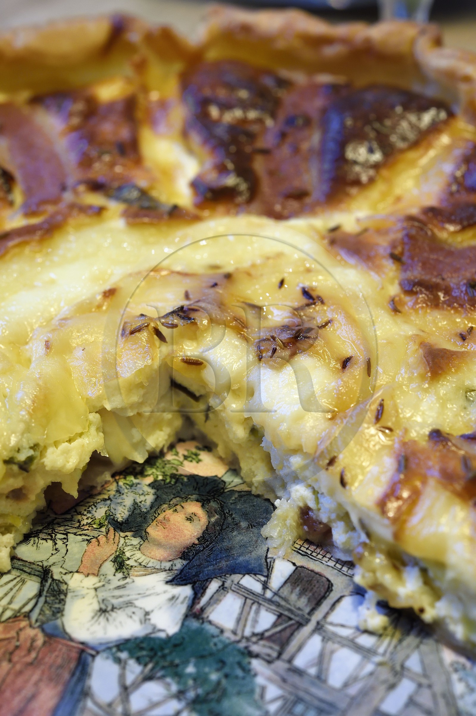 France, Bas-Rhin (67), Strasbourg, quiche au Munster et cumin