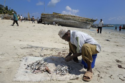 Tanzanie, Dar es-Salaam, tri de la pêche sur la plage devant le marché aux poissons de Kivukoni