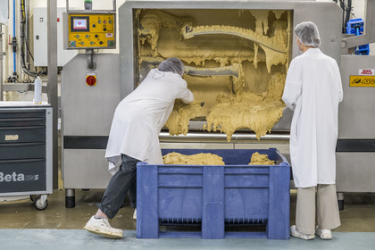 France, Côte-d'Or (21), Dijon, la fabrique de pains d'épices de la la maison Mulot et Petitjean, fabrication de la pâte mère