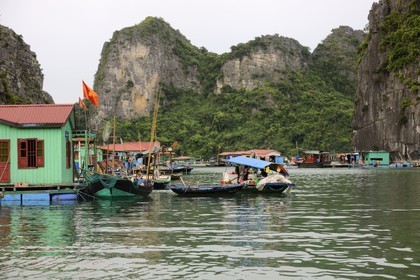 Vietnam, province de Quang Ninh, la Baie d'Halong classée Patrimoine Mondial de l'UNESCO, village flottant de pêcheurs de Vong Vieng