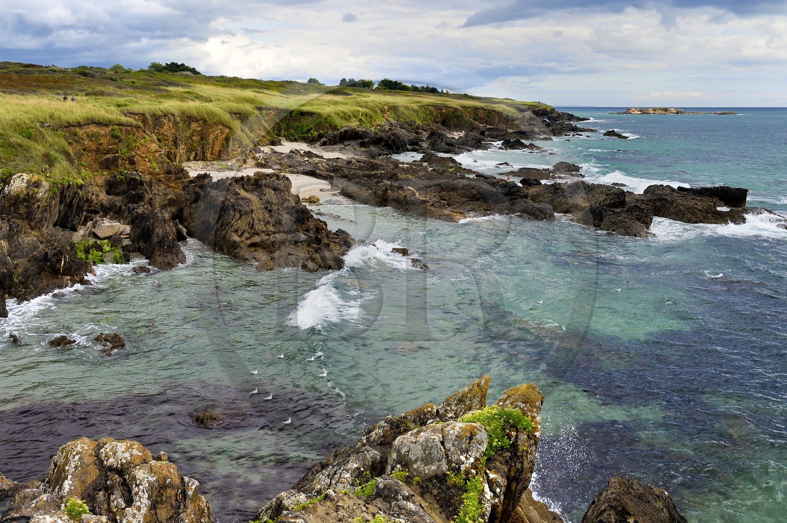 France, Finistère (29), Moelan-sur-Mer, le littoral entre Kerfany les Pins et la plage de Trenez sur le chemin de Grande Randonnée GR 34 ou sentier des douaniers