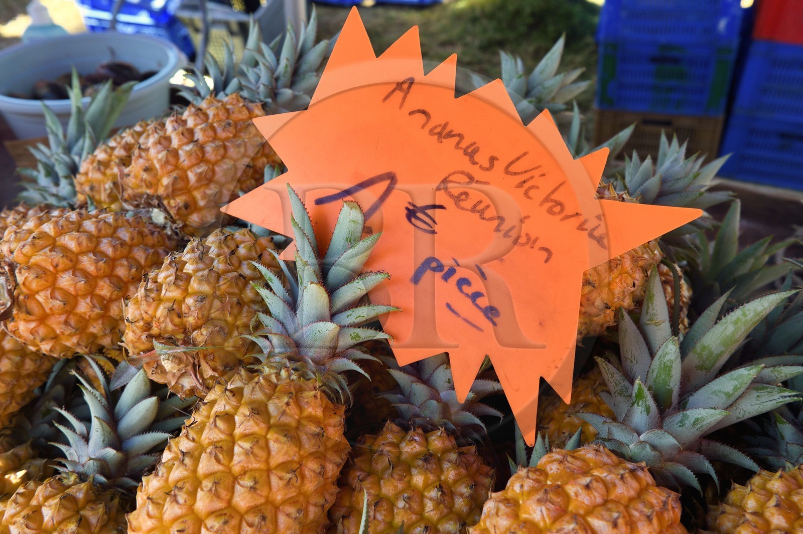 France, Ile de la Reunion, Saint-Pierre, le marché du samedi, les étals de fruits ananas
