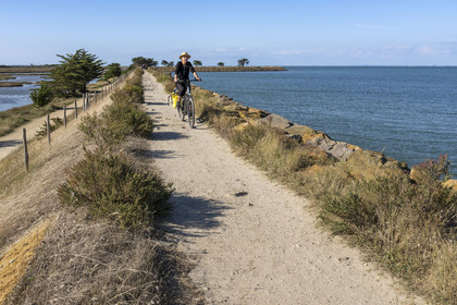 France, Vendée (85), île de Noirmoutier, Barbatre, cyclistes sur la digue de la côte Est