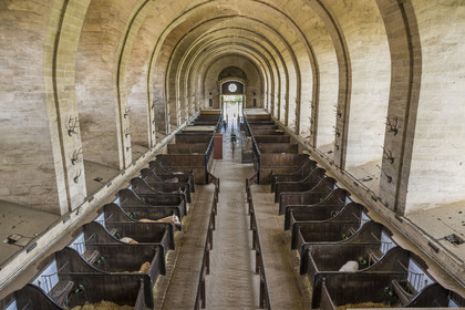France, Oise (60), Chantilly, le chateau de Chantilly, les Grandes Ecuries, musée du Cheval, les deux nefs accueillent des stalles pour les chevaux