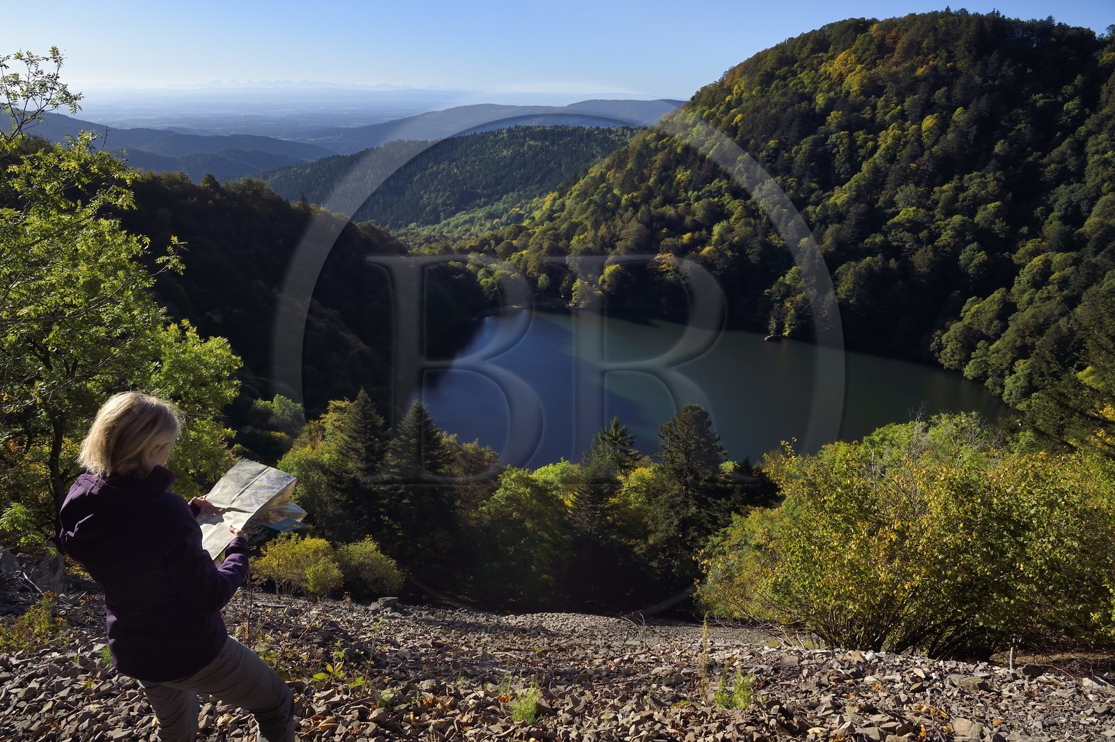 France, Haut-Rhin (68), Parc naturel régional des ballons des Vosges, Rimbach-près-Masevaux, randonneur marchant sur le GR5 au dessus du Lac des Perches, la plaine d'Alsace et les Alpes en arrière plan