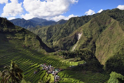 Philippines, province d'Ifugao, les rizières en terrasses de Banaue autour du village de Batad, classées Patrimoine Mondial de l'UNESCO, alimentées par un ancien système d'irrigation depuis la forêt tropicale au-dessus des terrasses