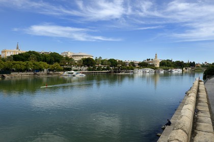 Espagne, Andalousie, Séville, en bordure du fleuve Guadalquivir, la Tour de l'Or (Torre del Oro), ancienne tour d'observation militaire construite au début du XIIIe siècle reconvertie en musée maritime
