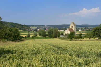 France, Haut-Rhin (68), Sundgau, Oltingue, église Saint-Martin-des-Champs