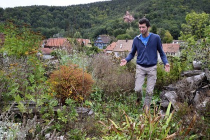 France, Bas-Rhin (67), Parc naturel régional des Vosges du Nord, Obersteinbach, le jardin écologique Hymenoptera créé par Sébastien Heim pour favoriser la présence d’insectes
