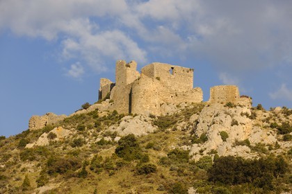 France, Aude (11), ruines du château cathare d’Aguillar dans les Corbières