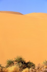 Libye, Le Fezzan (Sahara), touareg sur le sommet d'une dune surplombant la petite oasis de Takioumet