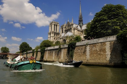 France, Paris (75), Ile de la Cité, la brigade fluviale de la préfecture de Police en patrouille sur la Seine sous Notre-Dame