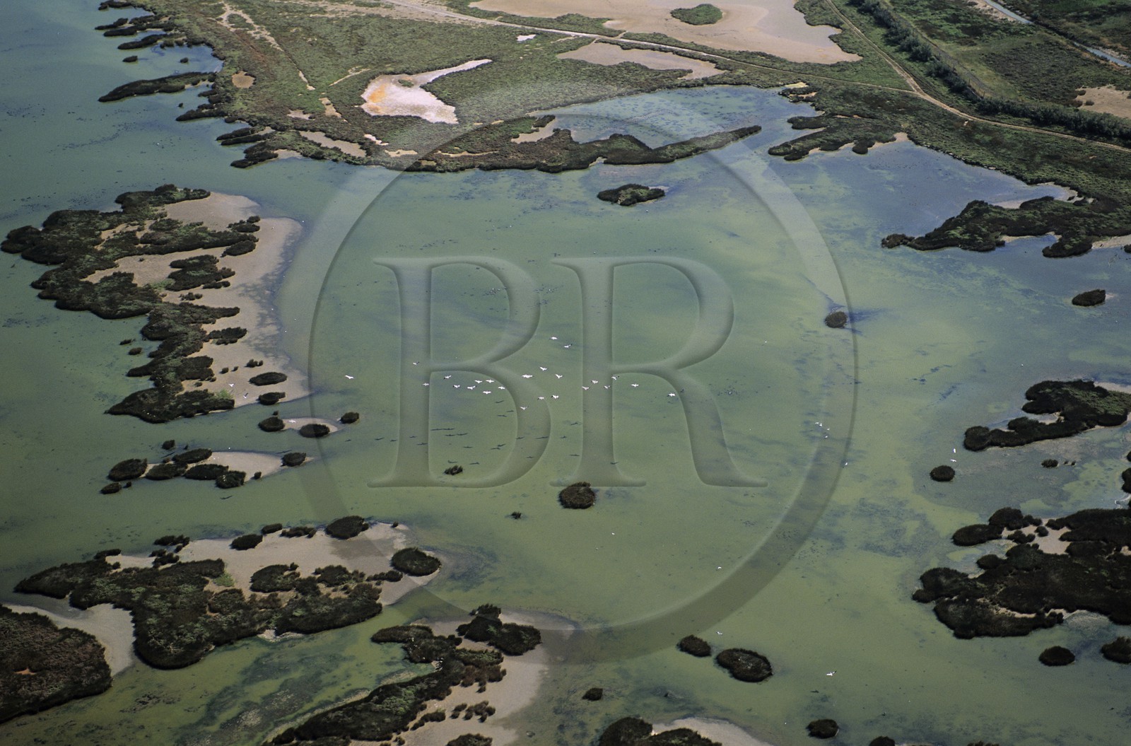 France, Aude (11), l'étang de Bages et de Sigean (vue aérienne)
