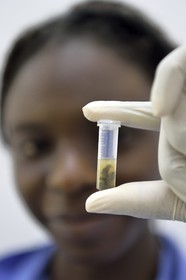 Namibie, Otjiwarongo, Cheetah Conservation Fund, centre de recherche et d'éducation, extraction par Harmony de matière fécale de guépards dans un micro tube en vue d'en extraire l'ADN