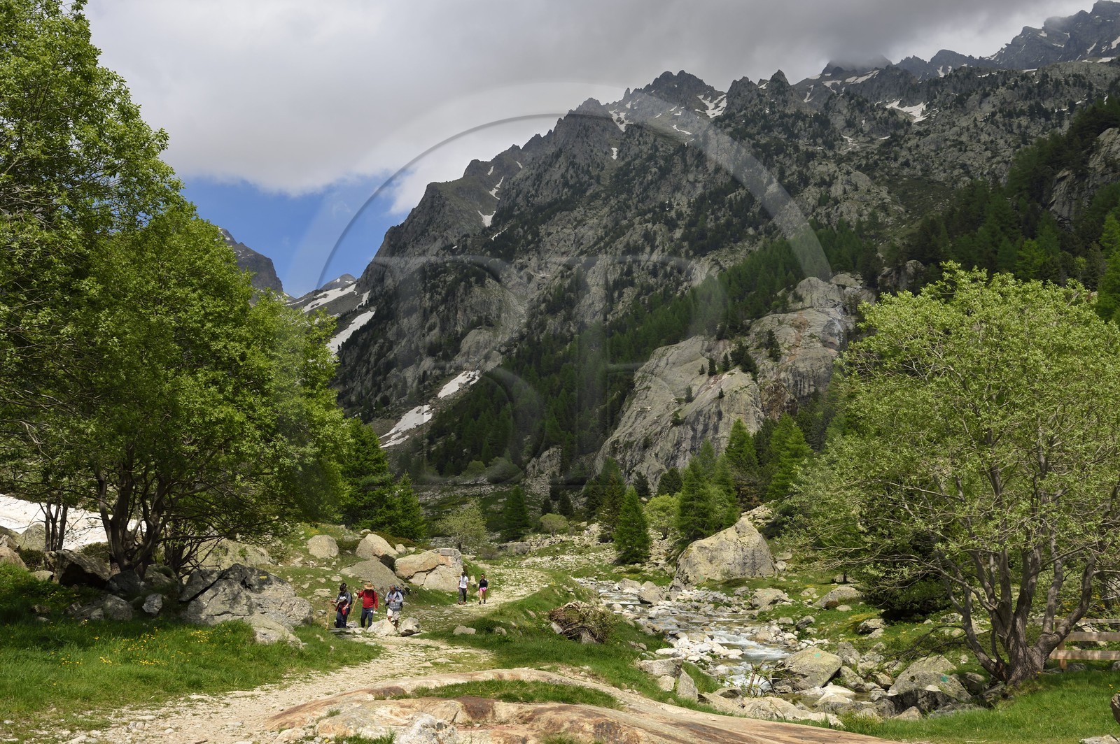 France, Alpes-Maritimes (06), parc national du Mercantour, Haute-Vésubie, randonnée dans le vallon de la Gordolasque