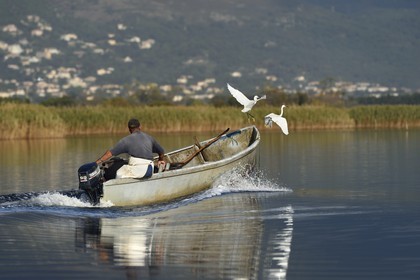 France, Haute-Corse (2B), pecheur en barque sur l'étang de Biguglia (stagnu di Chjurlinu) et Aigrette garzette (Egretta garzetta), réserve naturelle de Corse (RNC)