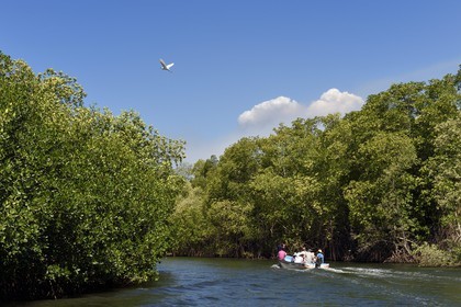 Nicaragua, la côte pacifique de Leon, découverte en bateau de la mangrove du parc national Isla Juan Venado