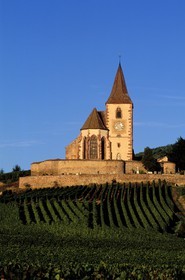 France, Haut-Rhin (68), Route des vins d' Alsace, Hunawihr, labellisé Les Plus Beaux Villages de France, église au milieu des vignes