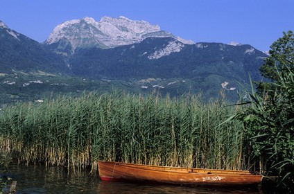 France, Haute-Savoie (74), bords du lac d'Annecy à Saint-Jorioz, barques et roseaux