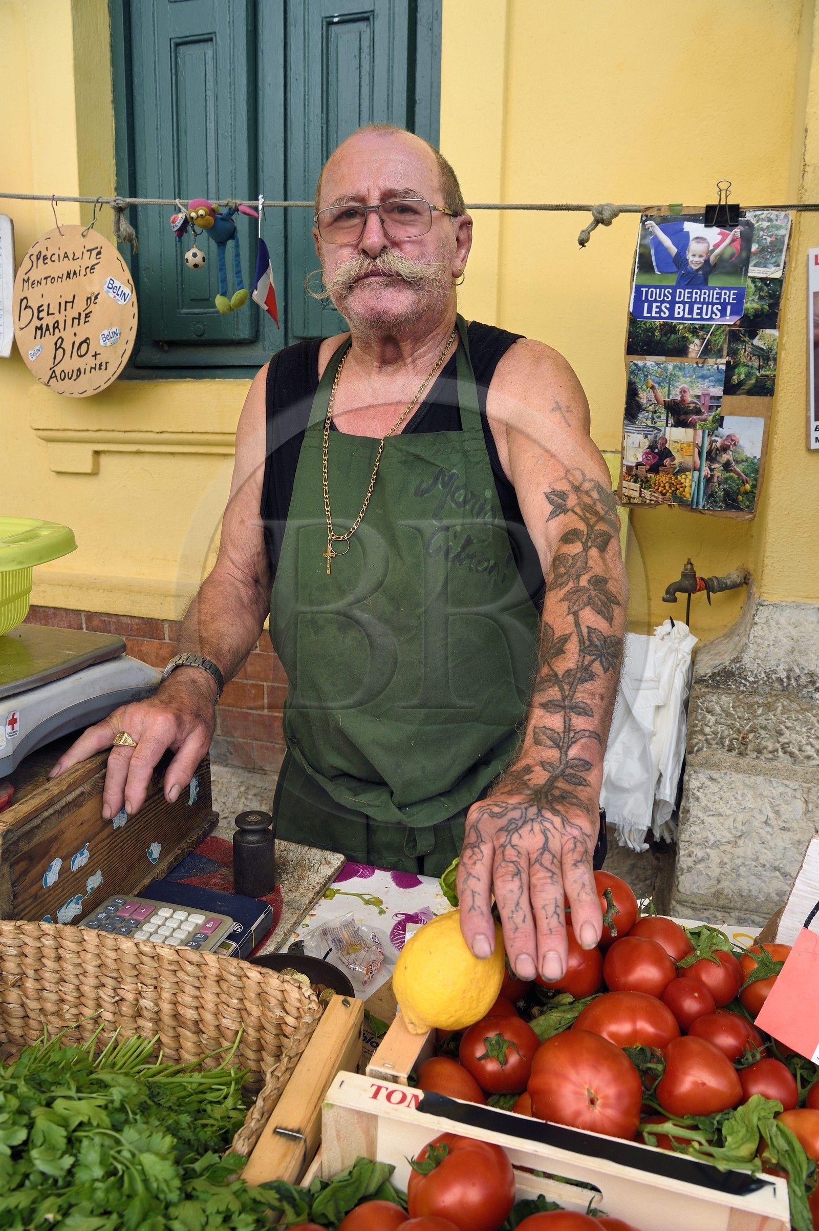 France, Alpes-Maritimes (06), Menton, marché couvert, halle municipale, le producteur Mario (80ans) vend ses citrons de Menton