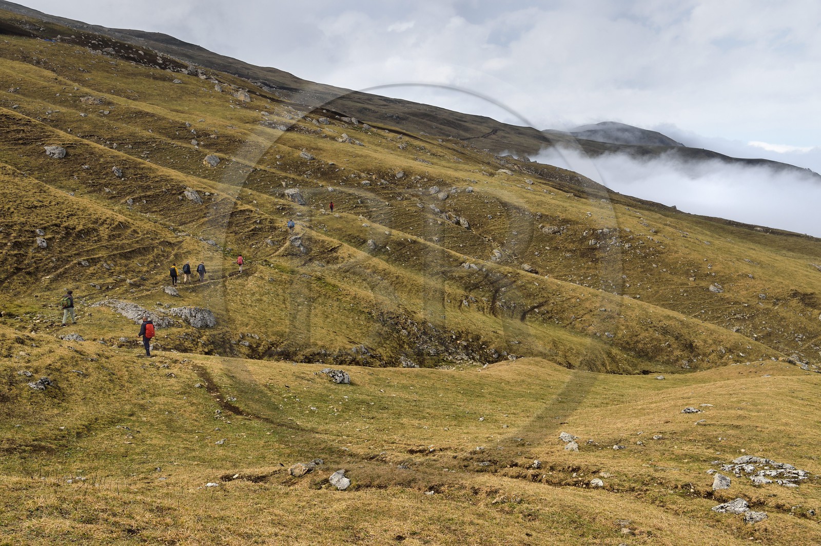 Azerbaïdjan, région de Quba (Guba), chaine de montagne du Grand Caucase, randonnée entre le village de Giriz et de Laza sur le Mont Gizilgaya