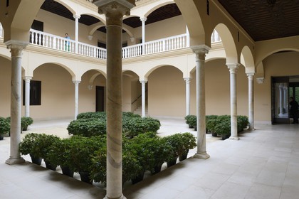 Espagne, Andalousie, Malaga, Musée Picasso qui occupe le Palais de Buenavista