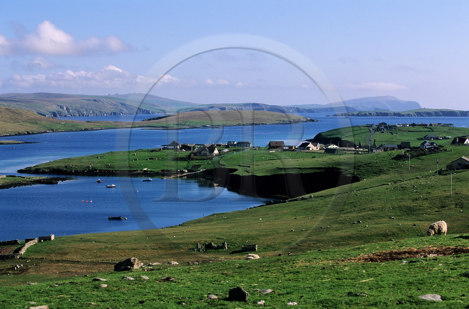 Royaume-Uni, Ecosse, les Shetland, côte ouest de Mainland, île de West Burra et le Clift Sound