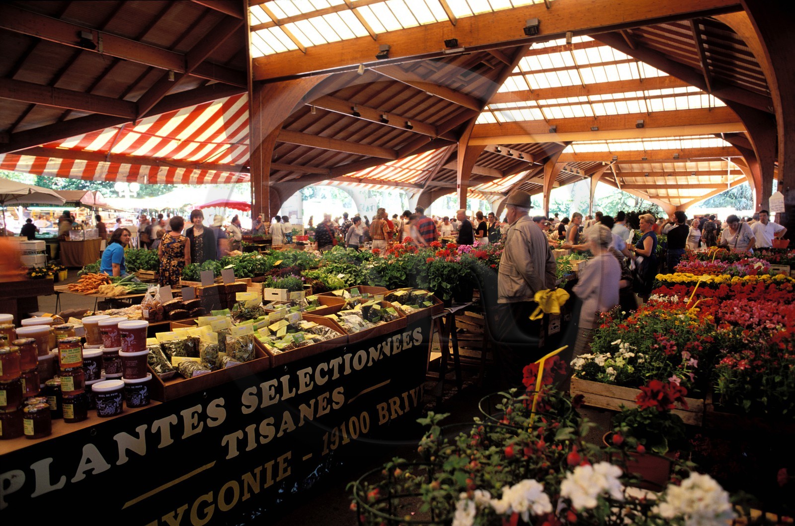France, Corrèze (19), Brive-la-Gaillarde, le marché