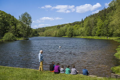 France, Bas-Rhin (67), Parc naturel régional des Vosges du Nord, Lembach, étang du Fleckenstein alimenté par la rivière Sauer